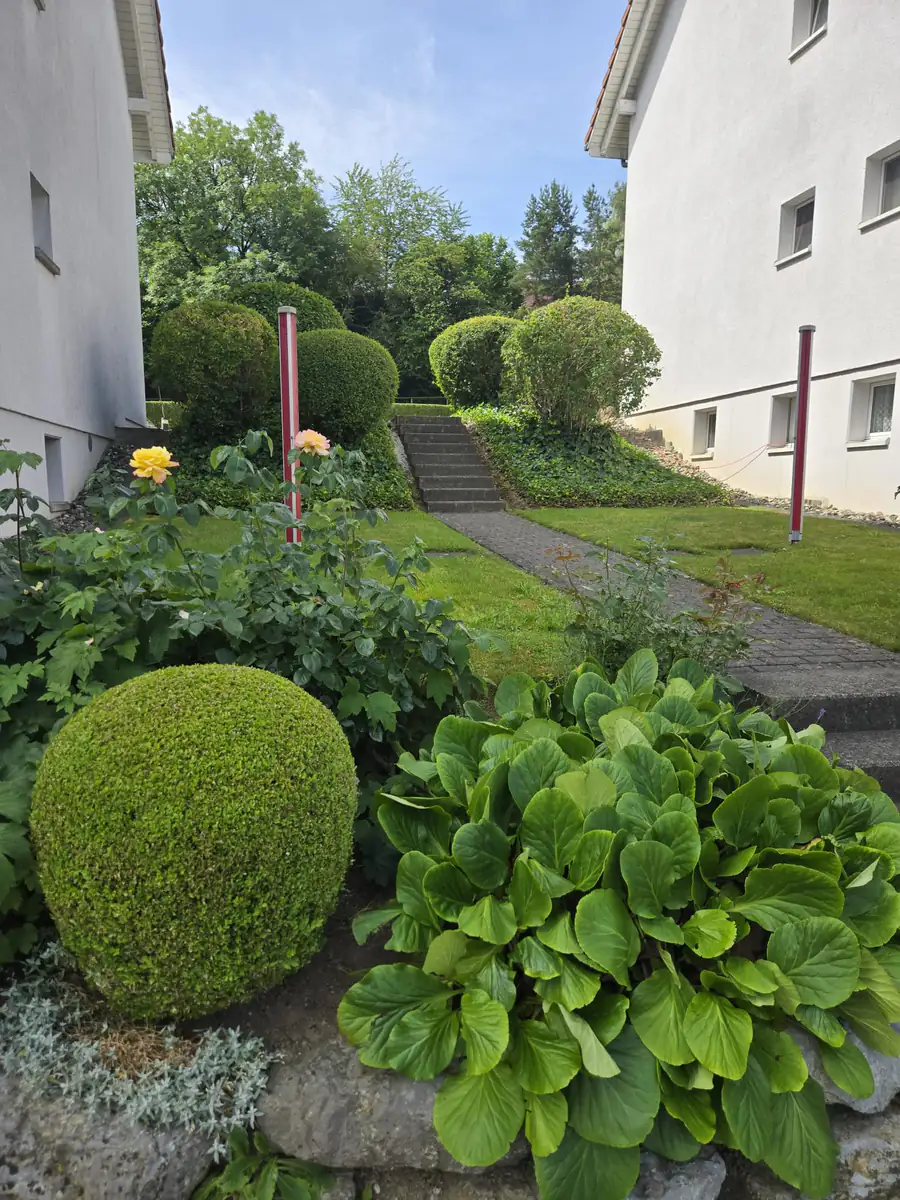 Gepflegter Aussenbereich zwischen zwei Mehrfamilienhäusern mit Buchskugeln, Rosen und Treppenaufgang