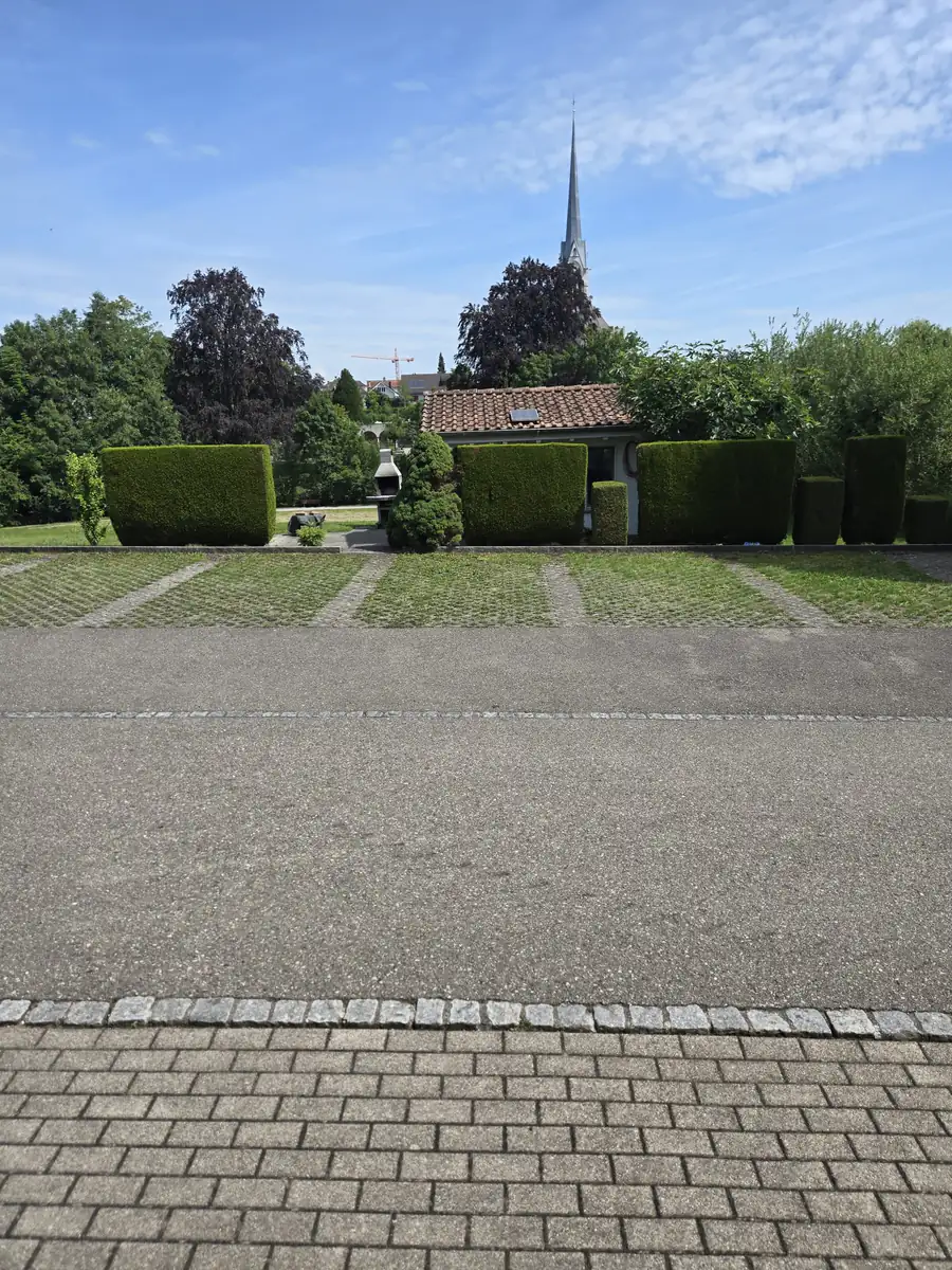 Präzise geschnittene Hecken an einem gepflegten Parkplatz mit Rasengittersteinen