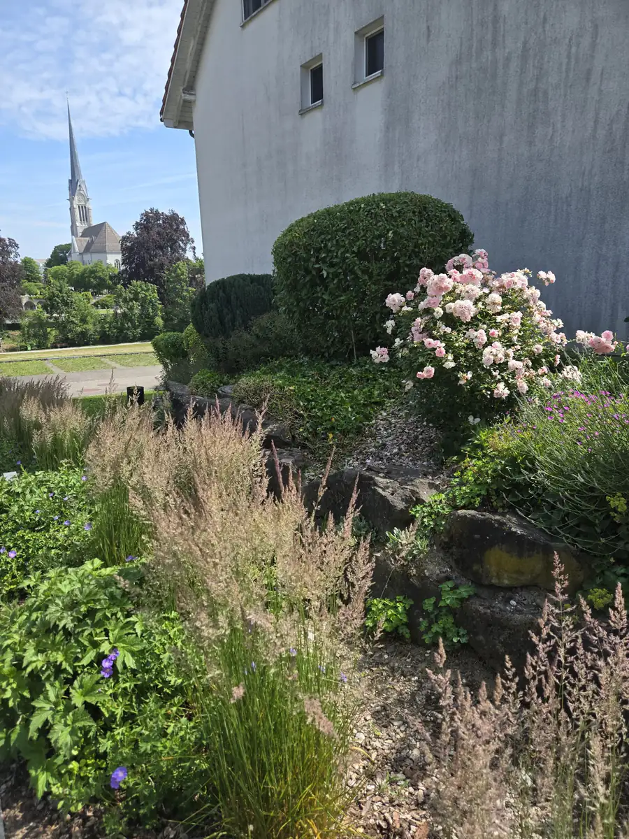 Blühende Rabatte mit Rosen und Gräsern vor einer betreuten Liegenschaft