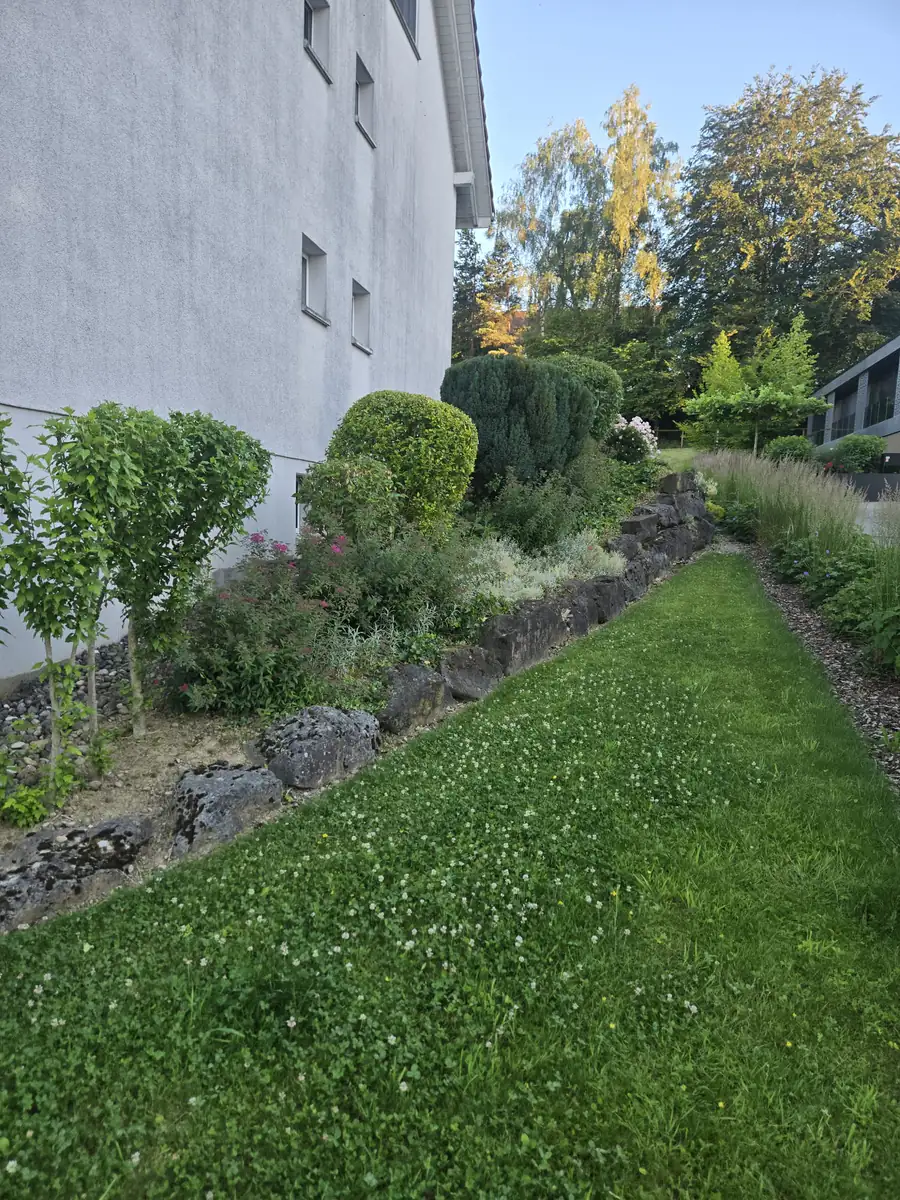 Frisch gemähter Rasen entlang einer bepflanzten Rabatte mit Natursteinmauer