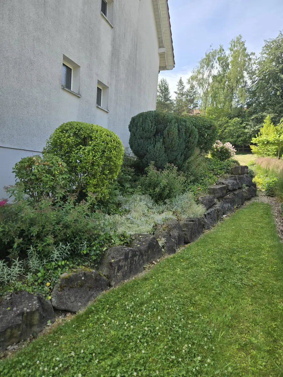 Gepflegte Rabatte mit Natursteinmauer, geschnittenen Sträuchern und gemähtem Rasen